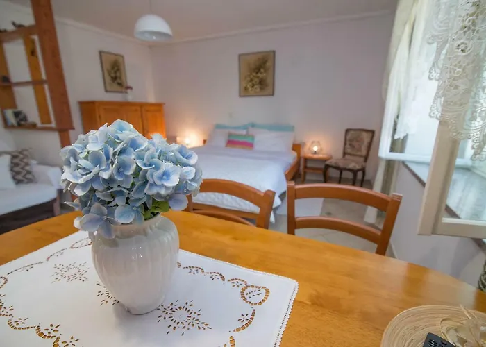 Roberto 2 베리로신즈